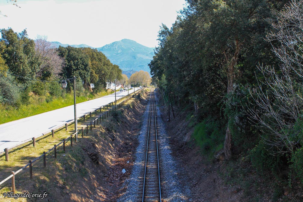 Chemin de fer - Castello di Rostino