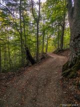 Wanderweg San Petrone Castineta - 15.10.2023