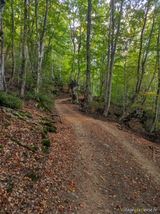 Wanderweg San Petrone Castineta - 15.10.2023