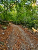 Wanderweg San Petrone Morosaglia Castineta - 15.10.2023