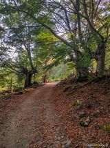 Wanderweg San Petrone Morosaglia Castineta - 15.10.2023