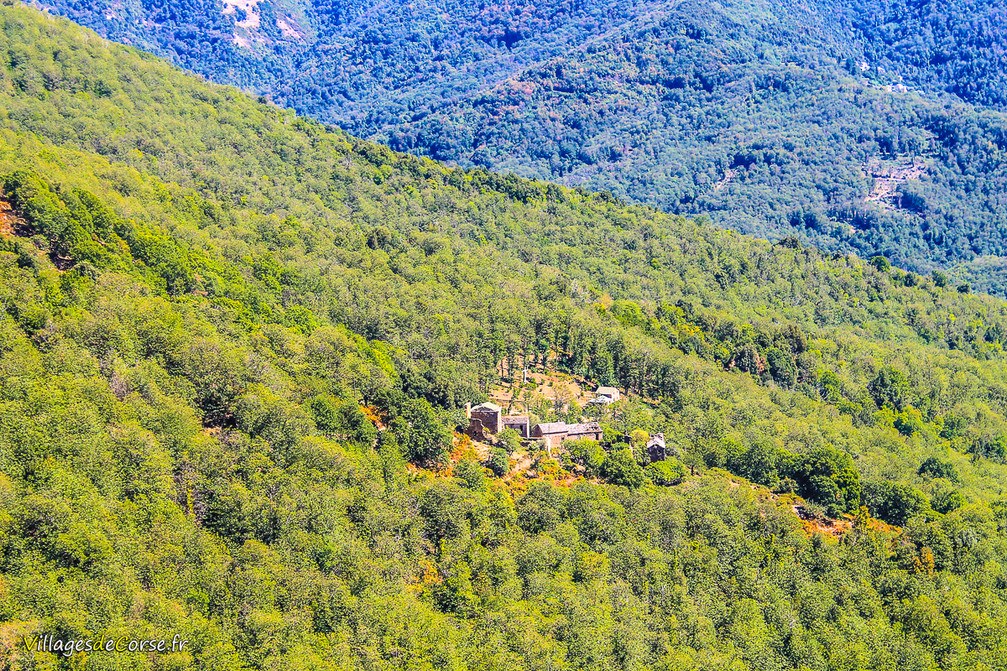 Forêt - Croce