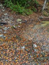 Sentier - Gavignano