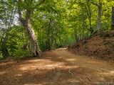 Wanderweg San Petrone Gavignano - 15.10.2023