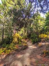 Wanderweg San Petrone Gavignano - 15.10.2023