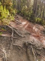 Wanderweg San Petrone Gavignano - 15.10.2023