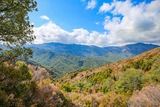 Montagne - Monacia d Orezza