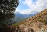 Montagne - Monacia d Orezza