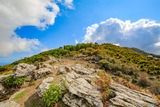Montagne - Monacia d Orezza
