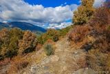 Sentier - Monacia d Orezza