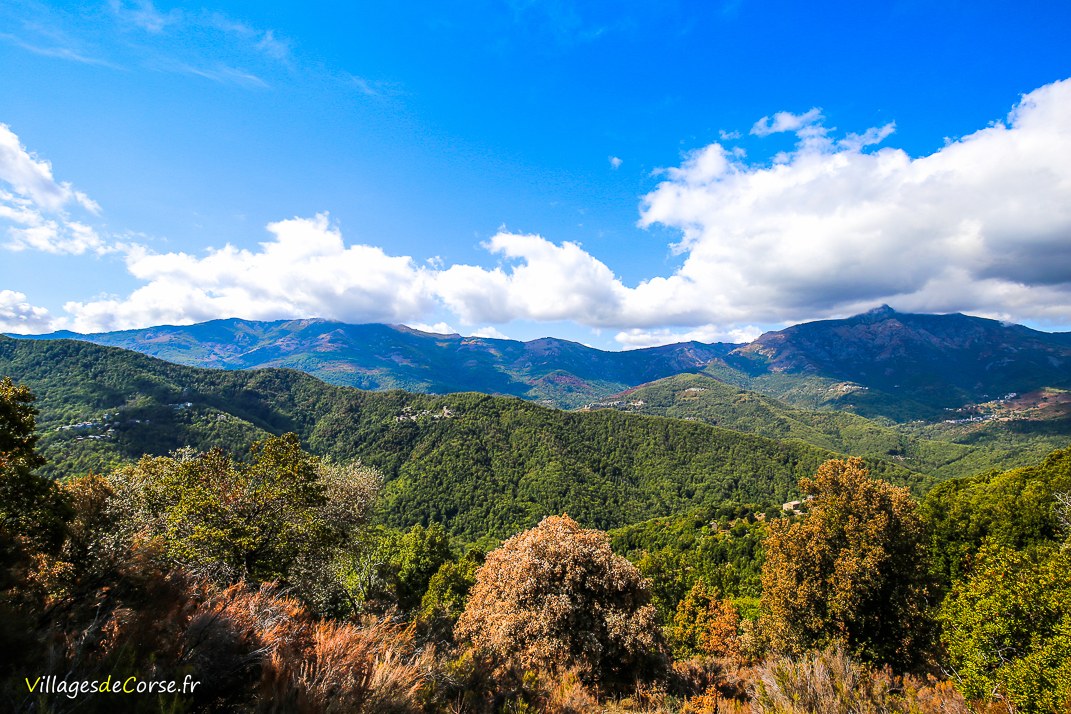 Montagne - Monacia d Orezza