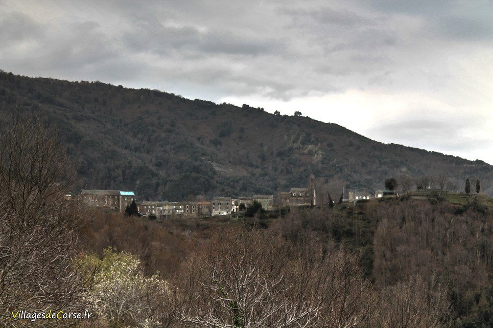 - Monte