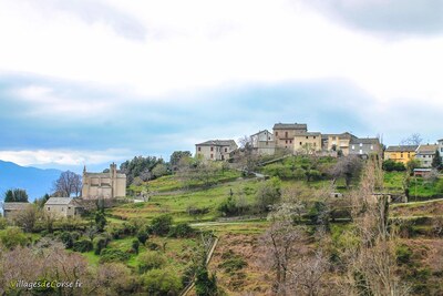 Ampugnani