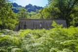 Chapelle - Sainte Marie de Canovaria - Pruno