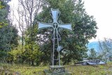 Cross - Pruno