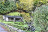 Lavoir - Pruno