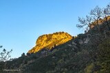 Mountain - Pruno