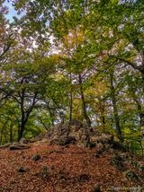 Wald Wanderung San Petrone Saliceto - 15.10.2023