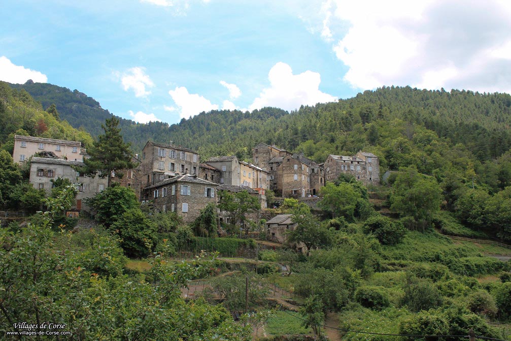 Village - Saliceto