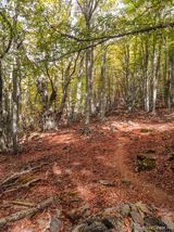 Aufstieg Felsgipfel San Petrone - 15.10.2023