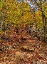 Aufstieg Felsgipfel San Petrone - 15.10.2023
