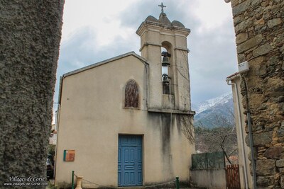 Venaco