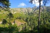 Vallée Restonica à Corte, le 14/08/2020