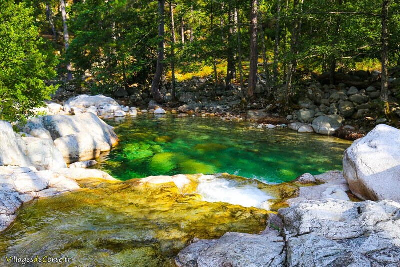 Rivière Restonica à Corte, le 14/08/2020