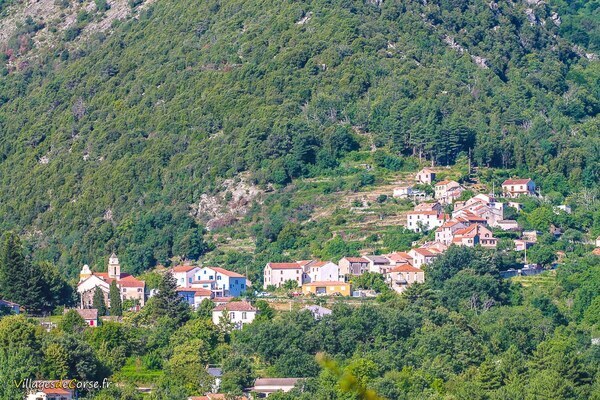 Village - Santo Pietro di Venaco