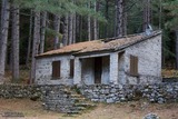 Casella Venaco Cervellu Forest - 10/05/2014
