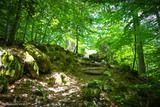 Wald Vizzavona in Vivario, 05/07/2016