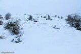 Mountain, Snowy Vizzavona - 11/24/2013