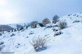 Mountain, Snowy Vizzavona - 11/24/2013