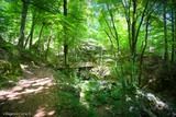 Pont en Bois Archäologischer Pfad Vizzavona Vivario - 05/07/2016
