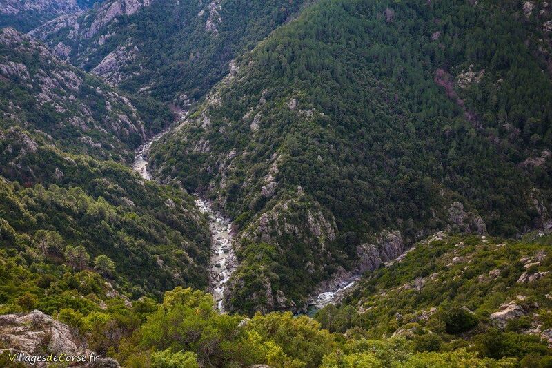 Rivière Vechju à Vivario, le 22/12/2020