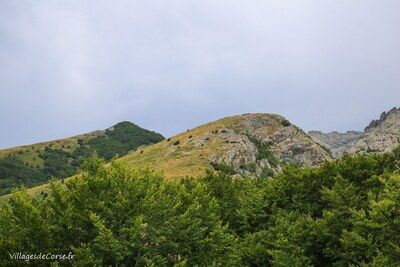Vizzavona Mountain - 31/08/2019