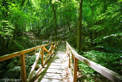 Holzbrücke Vizzavona Archäologischer Pfad Vivario - 05/07/2016