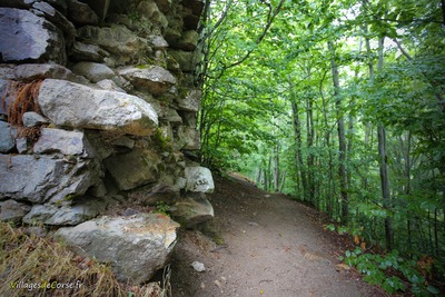 Wanderweg Cascade des Anglais Vivario - 31/08/2019