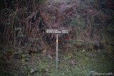 Pointe - Cervione