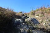 Spur - Cervione