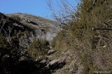 Spur - Cervione