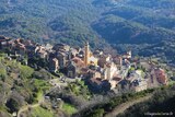 Dorf - Cervione