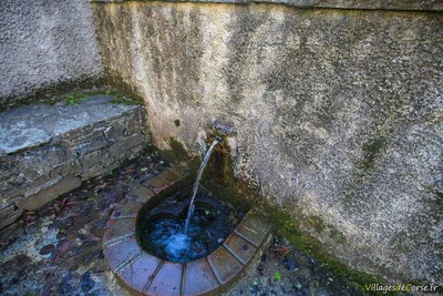 Quelle Cervione - 13012022