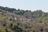 Dorf - Pero Casevecchie