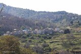 Dorf - Pero Casevecchie