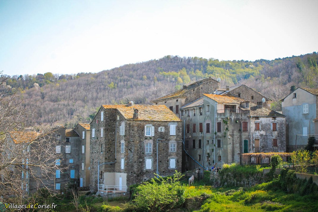 Village - Pero Casevecchie
