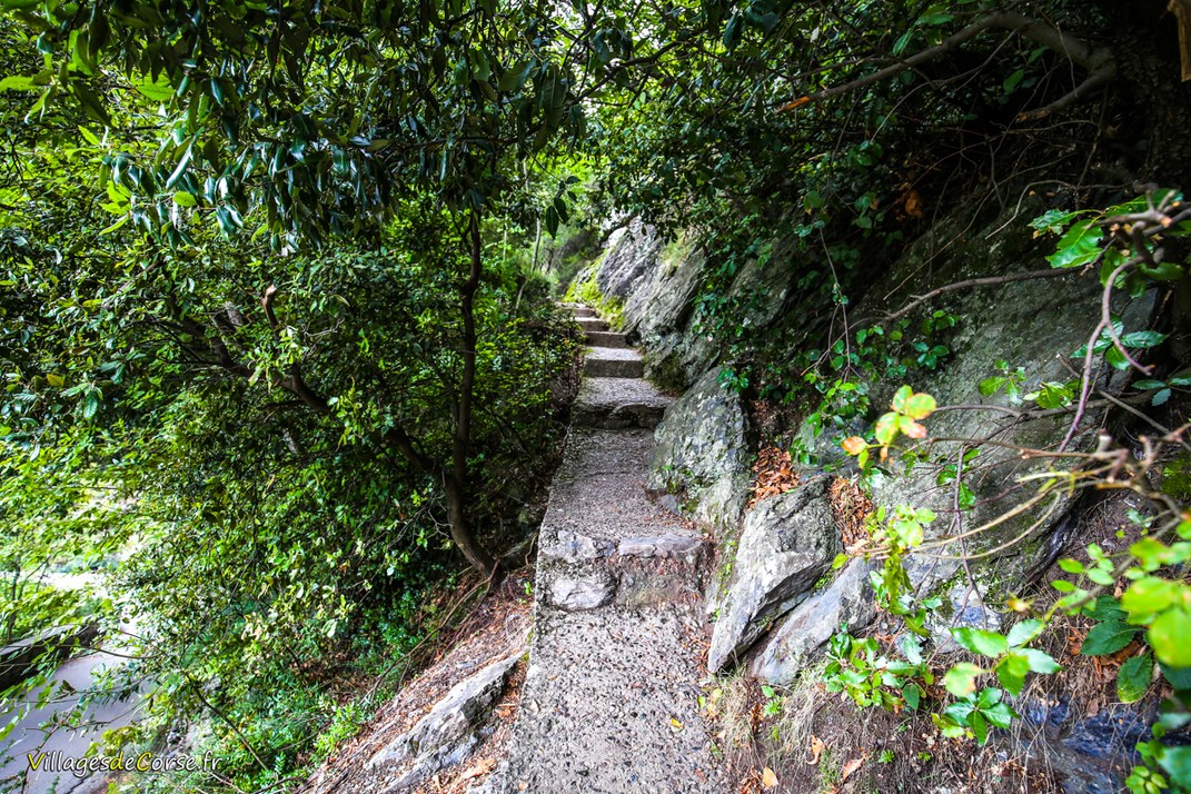 Escaliers - San Nicolao