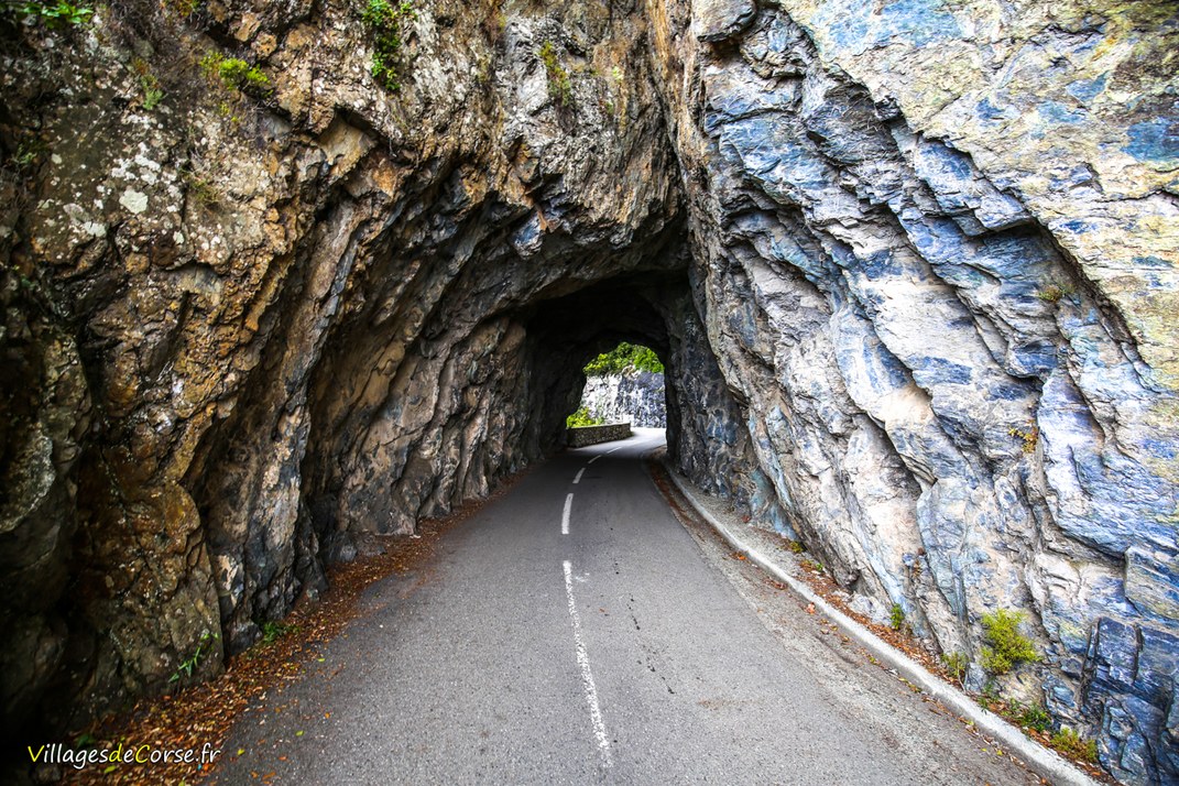 Tunnel - San Nicolao