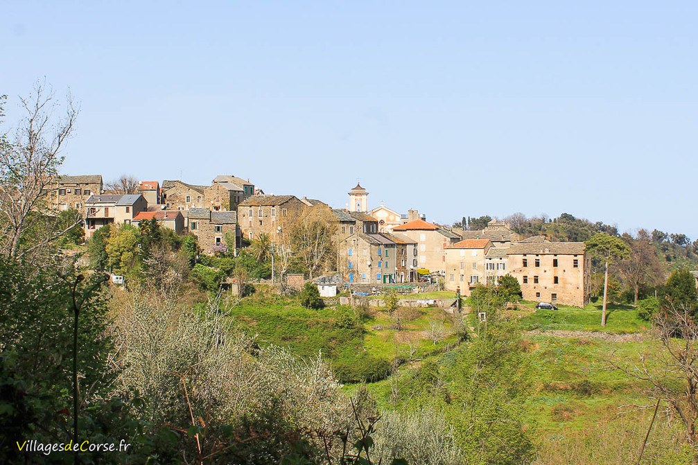 Village - Talasani
