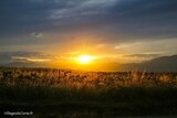 Coucher de Soleil - Valle di Campoloro